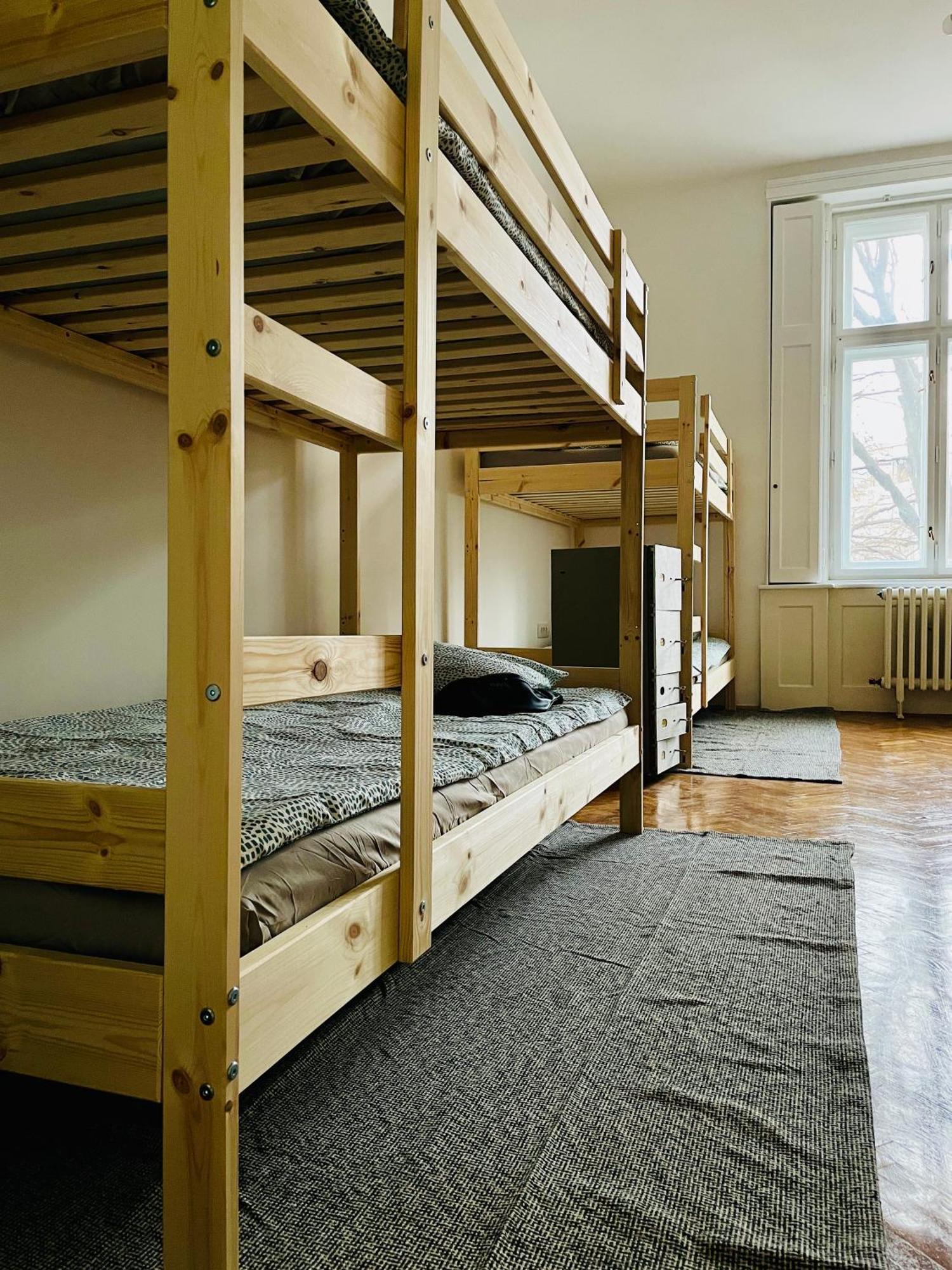 Hostel Green World ノヴィ・サド エクステリア 写真